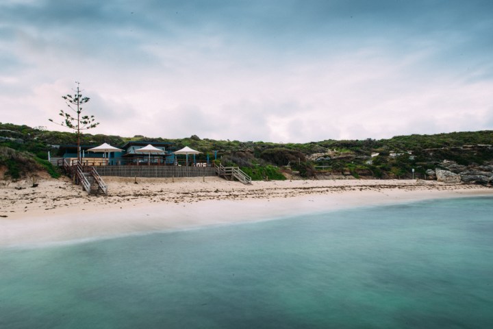 White elephant clear weather