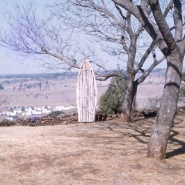 Large Stand Up Paddle Board 1955